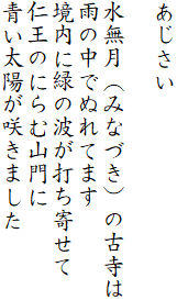 あじさい

水無月（みなづき）の古寺は
雨の中でぬれてます
境内に緑の波が打ち寄せて
仁王のにらむ山門に
青い太陽が咲きました