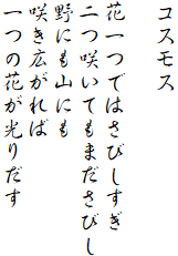 コスモス

花一つではさびしすぎ
二つ咲いてもまださびし
野にも山にも
咲き広がれば
一つの花が光りだす