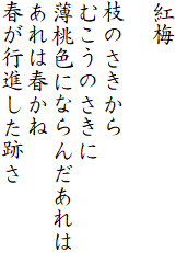 紅梅

枝のさきから
むこうのさきに
薄桃色にならんだあれは
あれは春かね
春が行進した跡さ