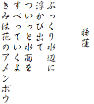 　　睡蓮


ぷっくり水辺に
浮かび出て
ついっと水面を
すべっていくよ
きみは花のアメンボウ