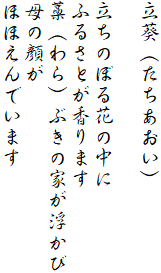 立葵（たちあおい）

立ちのぼる花の中に
ふるさとが香ります
藁（わら）ぶきの家が浮かび
母の顔が
ほほえんでいます