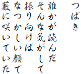 つばき

誰かが読んだ
そんな気がして
振り向けば
なつかしい顔で
藪に咲いていた