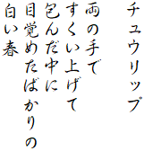 チュウリップ

両の手で
すくい上げて
包んだ中に
目覚めたばかりの
白い春